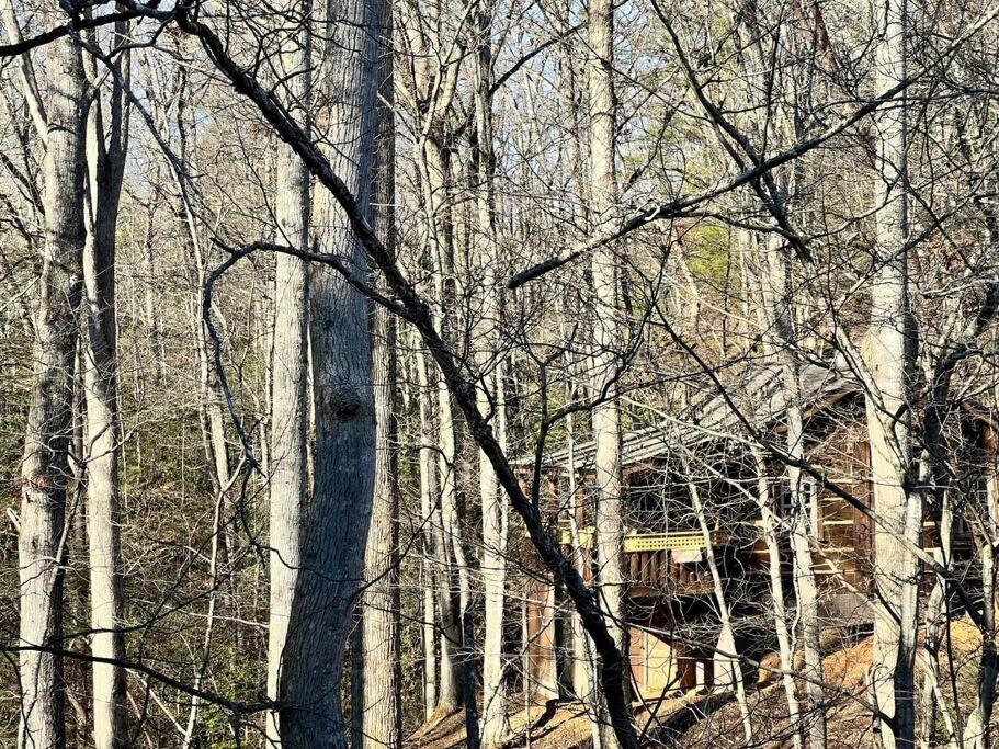 Boozy Bear Bungalow Romantic Cabin 5 Mins 2 Downtown With Hot Tub And Fire Pit Gatlinburg Exterior foto